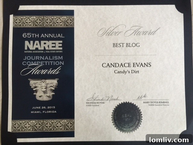 NAREE 2015 Silver Award for Best Real Estate Blog
