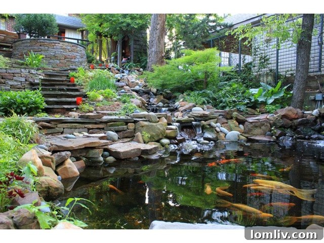 Cascading Waterfall to Large Koi Pond