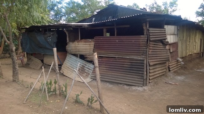 Josefa and her family's precarious living conditions before the Giveback Homes intervention in Nicaragua.
