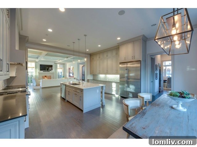 3625 Bryn Mawr Kitchen - High-End Finishes and Modern Design