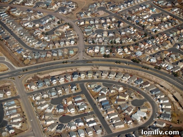 Bewildering Maze of Faux-Quaint tract housing development, illustrating a lack of original architectural identity.