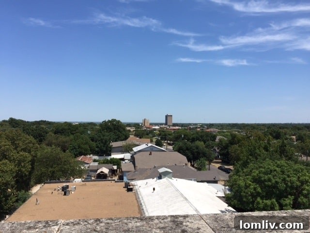 DP&L Building Commercial to Residential Conversion - Dallas Investment