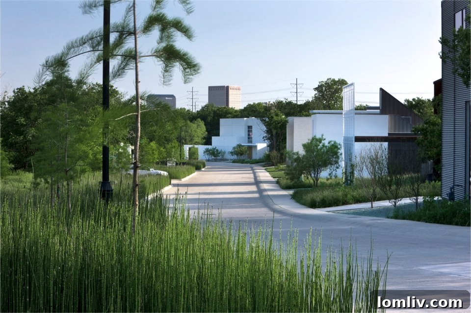 Contemporary Architecture in Urban Reserve