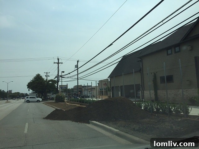 Preston Royal Roadwork Completion