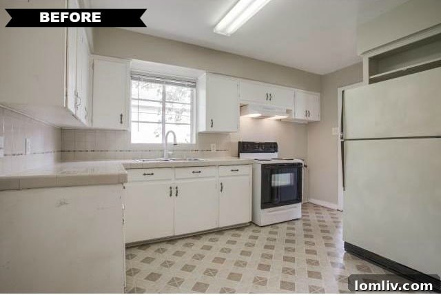561 Classen Dr kitchen before renovation close up