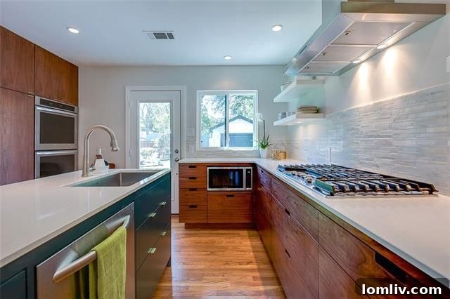 561 Classen Dr modern kitchen