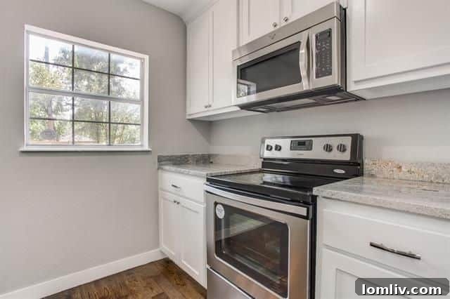 Close-up detailing the high-end stainless steel appliances and the meticulous finishes in the kitchen.