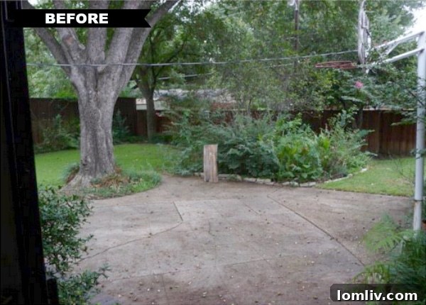 Before Renovation: Overgrown Backyard at 3506 Warick Dr.