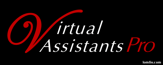 Boost Sales, Offload Admin: Virtual Assistants Pro Handles Your Backend 3 Virtual Assistants Pro Logo