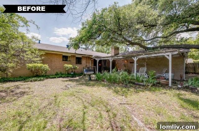 Overgrown Backyard Before Renovation