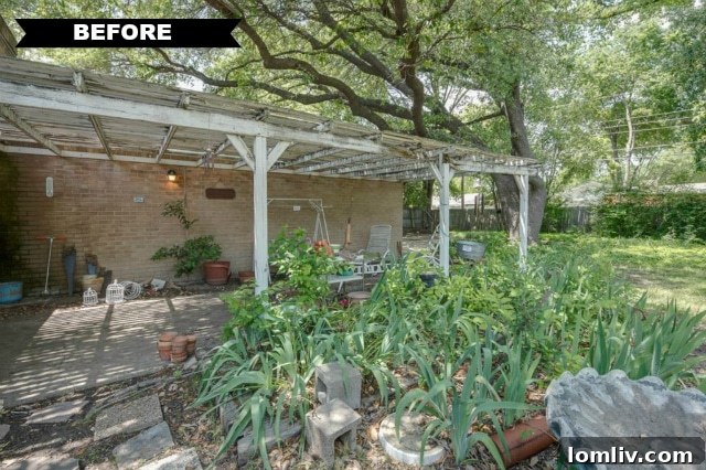 Original Backyard with Worn Pergola