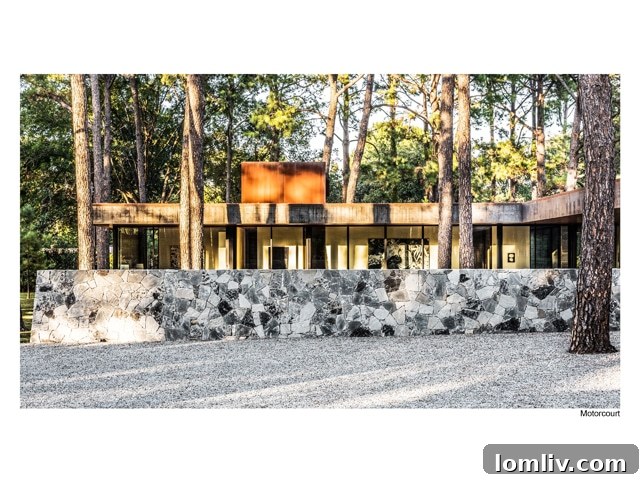 Striking exterior shot of Wernerfield's Cedar Creek Residence, highlighting its dark facade, strong architectural lines, and seamless integration with surrounding pine trees.