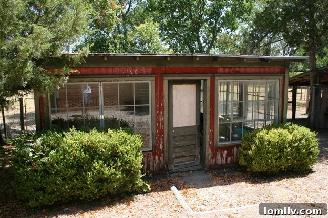 Waxahachie's Victorian Farmhouse A Serendipitous Gem 11 Before renovation: Old greenhouse in the backyard of 802 Brown Street