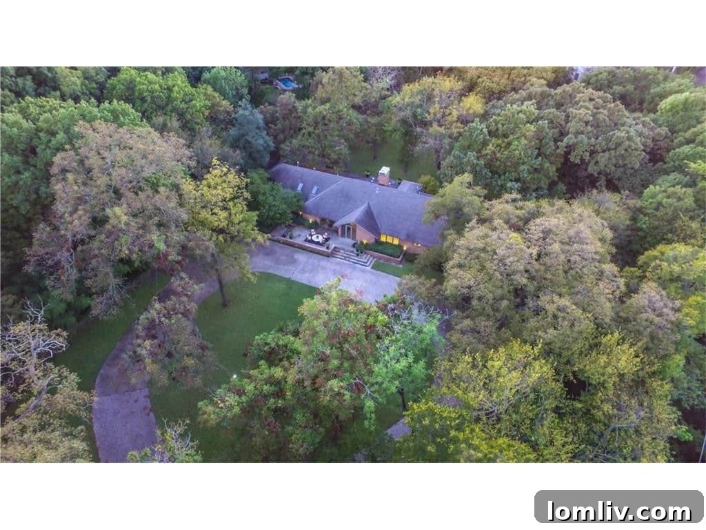 Aerial View of 626 Rainbow Drive Property and Surroundings