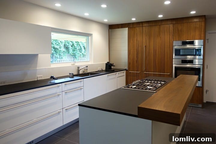 Alicia Quintans JQAQ Atelier: Modern Design Renovation