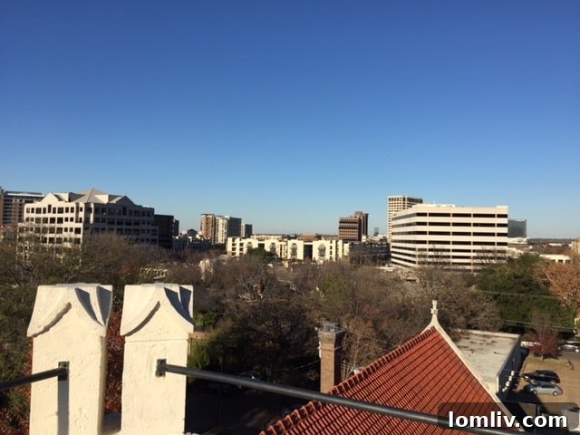 Uptown Dallas view from rooftop