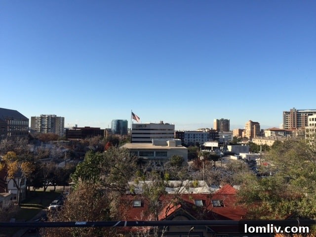 Panoramic Dallas city view