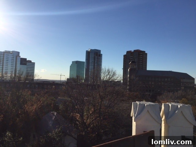 Rooftop perspective of Dallas cityscape