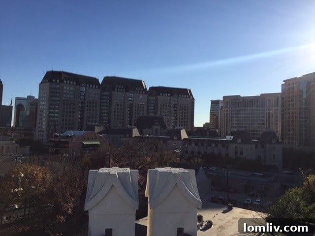 Unique rooftop viewpoint