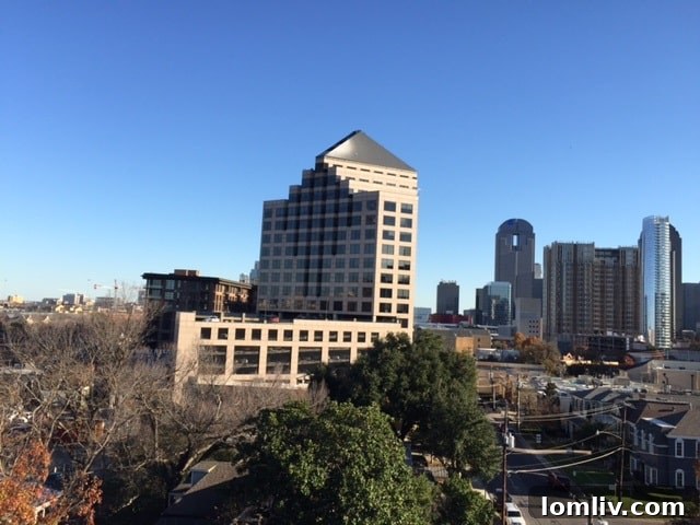 Cityscape from Fairmount Church roof