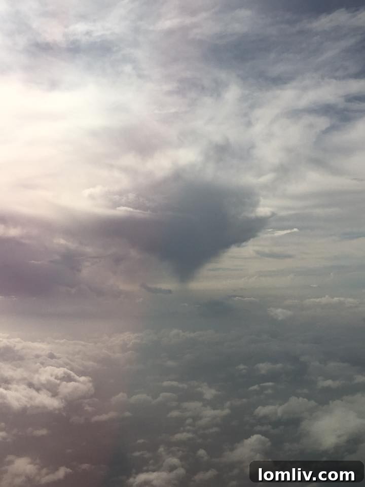 Rowlett tornado from the sky
