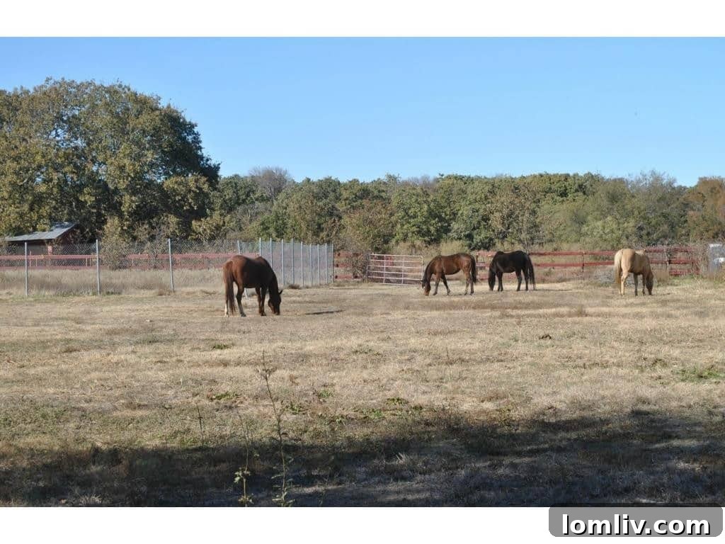 Horses grazing in a paddock on the sprawling estate, highlighting its equestrian features.