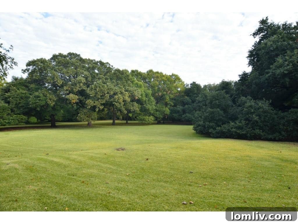 4500 Preston Road Estate Croquet Lawn