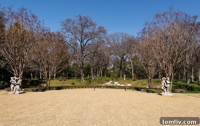 Hicks-Grounds-Rear-Garden-Looking-North1