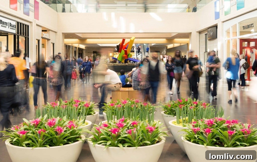 Tax-Free_Shopping_Newsletter-1024x644