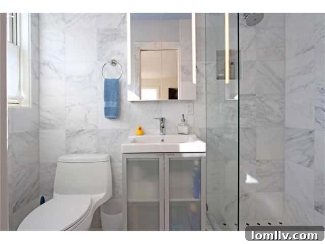 636 W. Colorado Second Bath - Carrara Marble and Modern Vanity