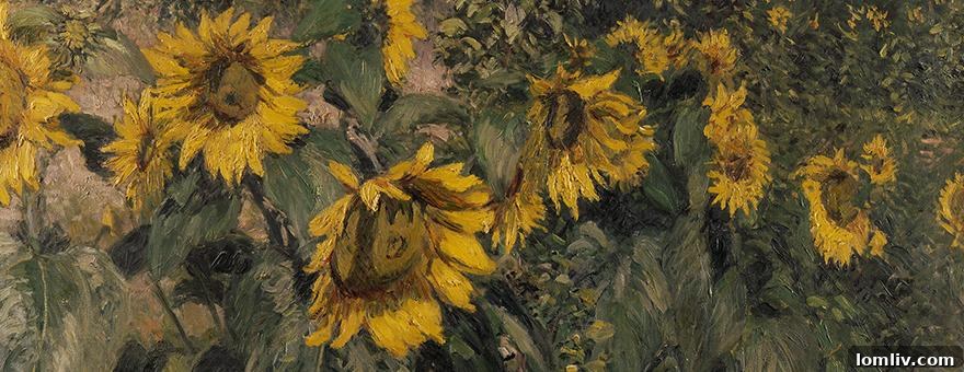 sunflowers_slider1