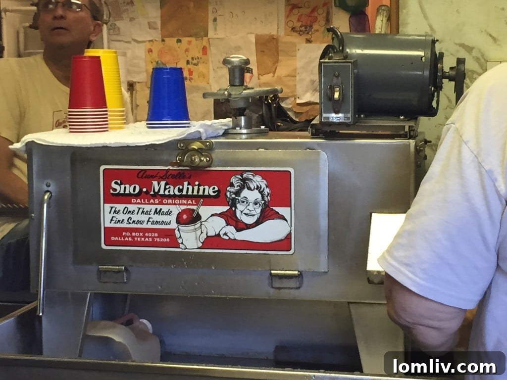 Aunt Stelle's SnoCones, a beloved Oak Cliff tradition, offering refreshing icy treats.
