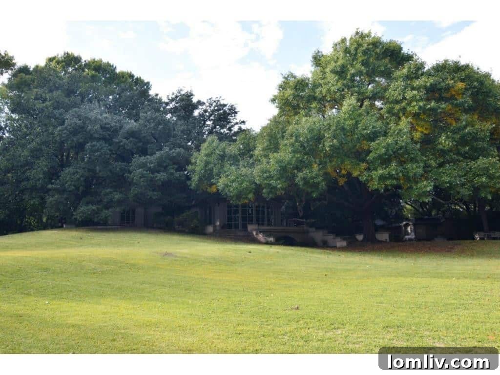 Dallas's Richest Real Estate: Did Andy Beal Acquire the Two Most Expensive Mansions? 11 Further views of the lush grounds surrounding the Margaret Crow Estate at 4500 Preston Road.