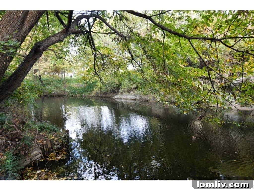 Dallas's Richest Real Estate: Did Andy Beal Acquire the Two Most Expensive Mansions? 21 A tranquil creek flowing through the property of the Margaret Crow Estate, 4500 Preston Road.