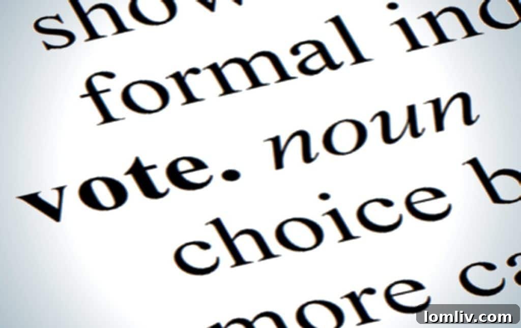 vote-1024x646