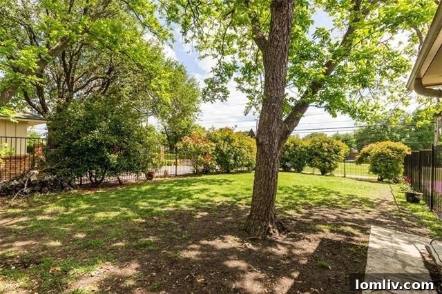 Neighborhood Street View, Lake Highlands Dallas