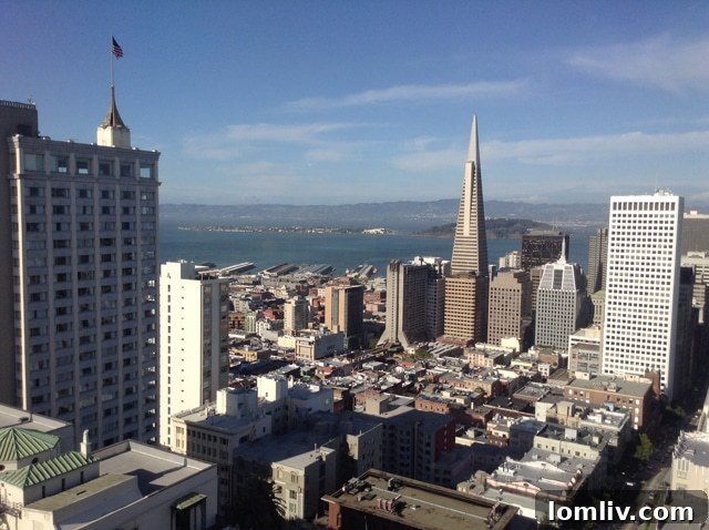 San Francisco cityscape view, illustrating urban density challenges.