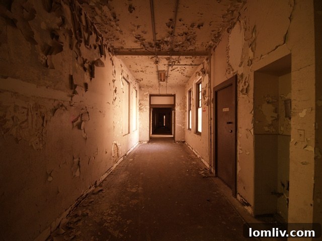 Interior view showing structural damage and neglect