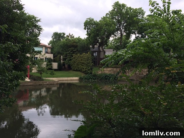 Panoramic View Across Serene Turtle Creek