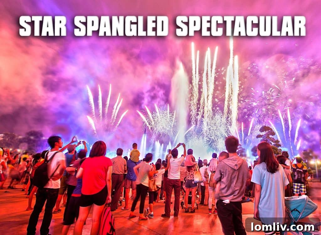 Garland Star Spangled Spectacular fireworks over Firewheel