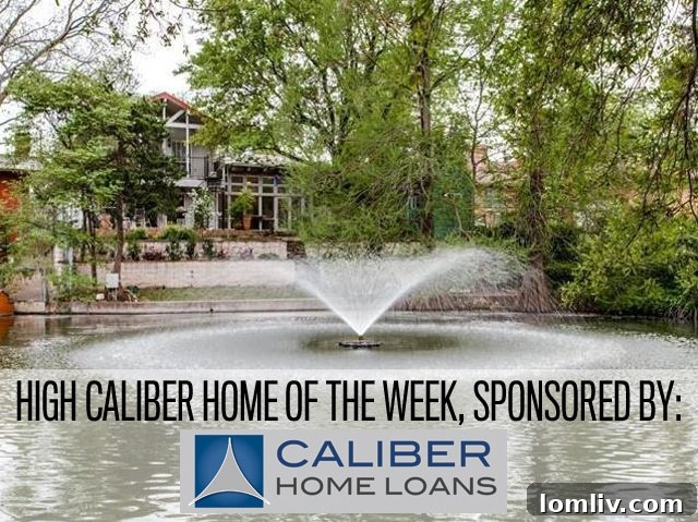 647 Bizerte Avenue Back Fountain - Lakefront Home in Oak Cliff, Dallas