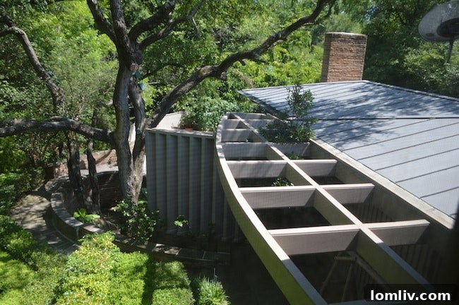 Interior view highlighting the open floor plan and connection to nature at the Grady Vaughn House
