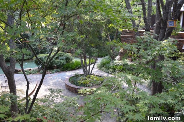 Another perspective of the Kimple House's expansive and meticulously designed backyard.