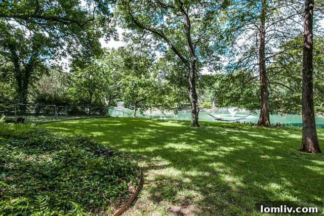 Midcentury Modern Masterpiece: Preservation Dallas Uncovers the Newberger House Legacy 4 Newberger House Outdoor Oasis - Dallas Waterfront