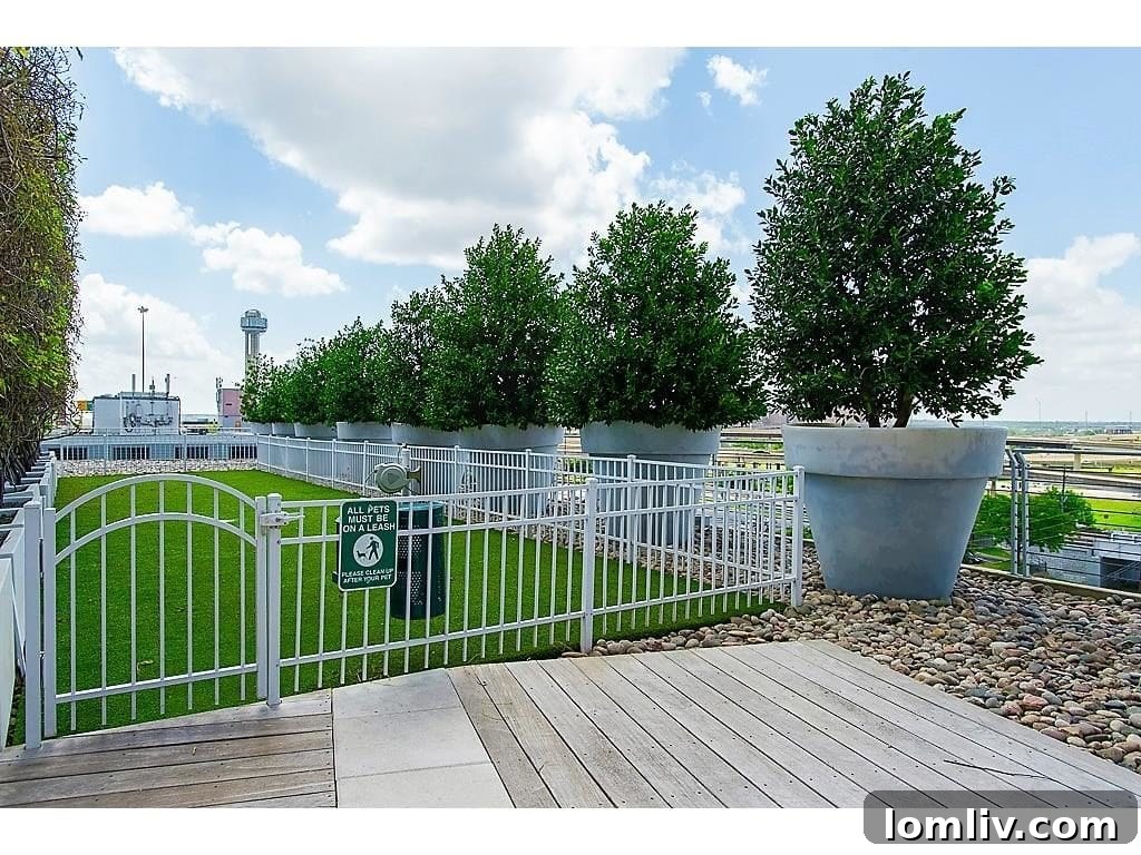 House-1601-Dog-yard-1024x768