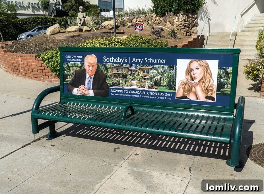 Amy Schumer Sotheby's Ad - Sabo Art