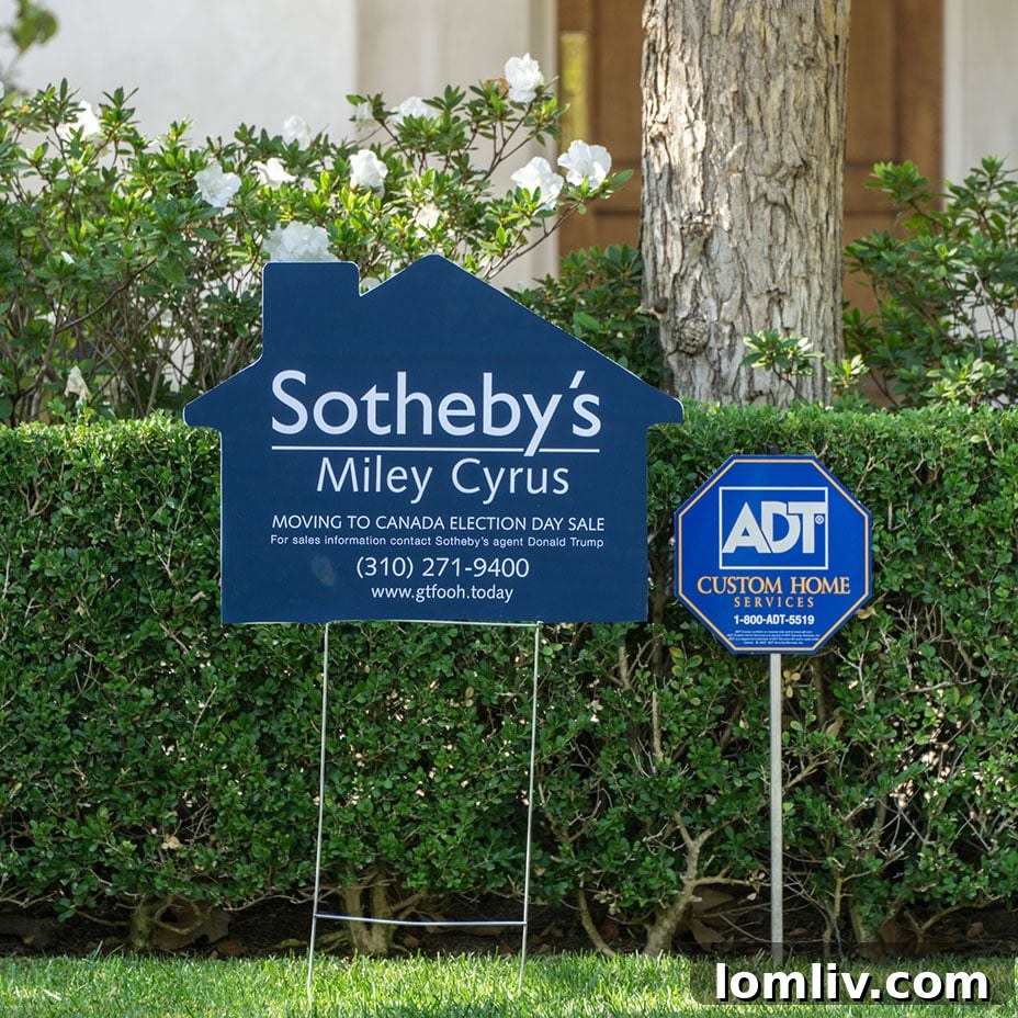 Miley Cyrus Sotheby's Ad - Sabo Art