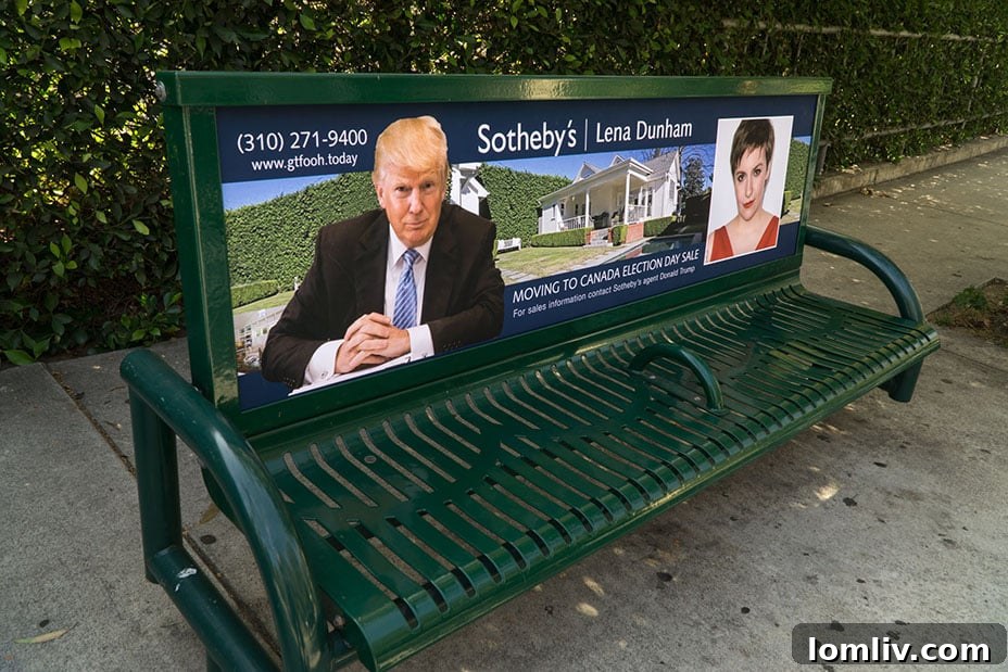 Lena Dunham Sotheby's Ad - Sabo Art