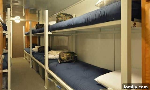 Efficient Bunk Beds for 12 People inside the Underground Survival Bunker, maximizing space and capacity