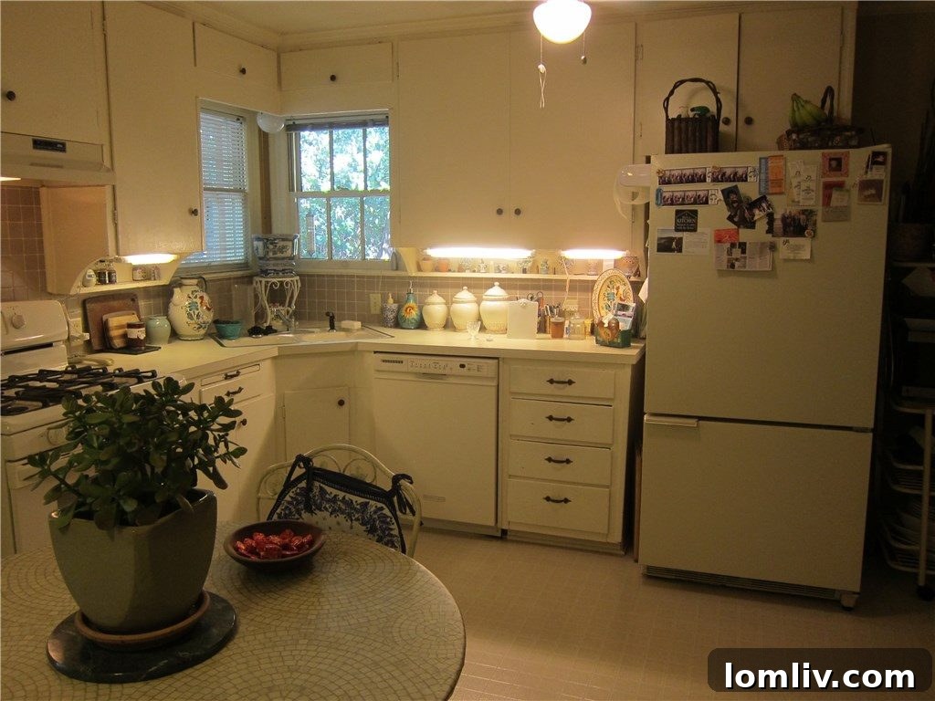 La Vista Drive Kitchen 1